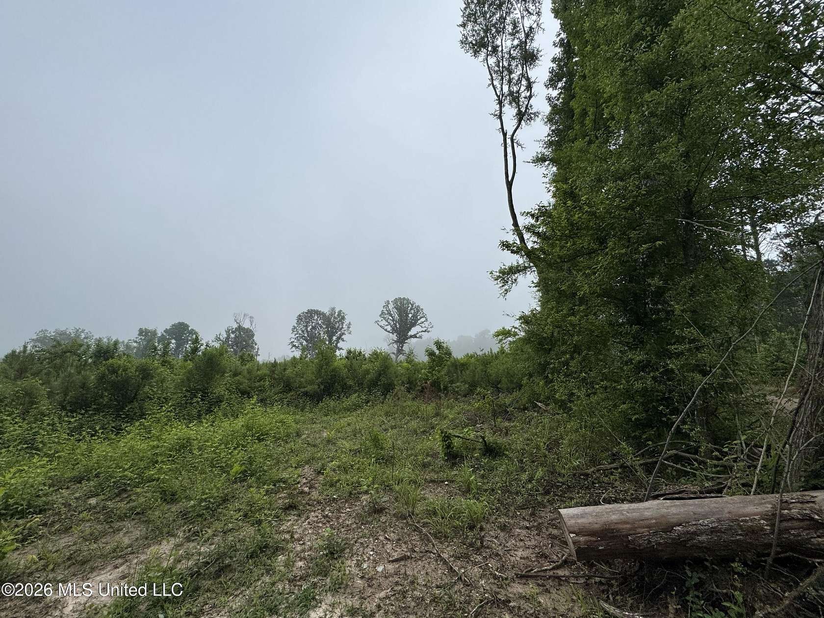 22.4 Acres of Recreational & Residential Land for Sale in Hazlehurst, Mississippi