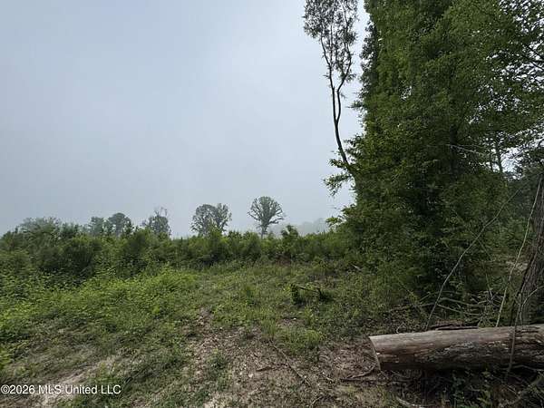 22.4 Acres of Recreational & Residential Land for Sale in Hazlehurst, Mississippi