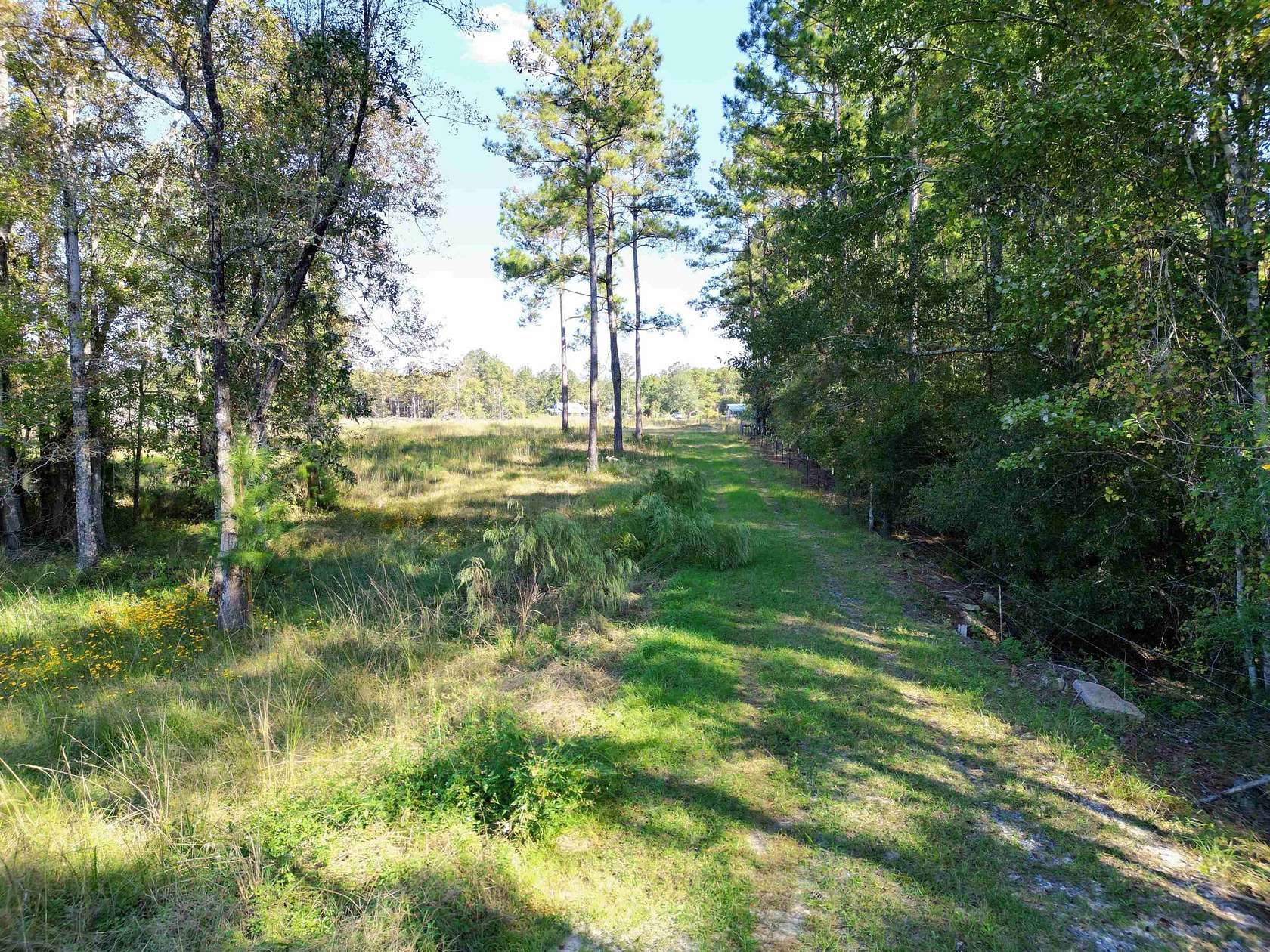14 Acres of Land for Sale in Hosford, Florida