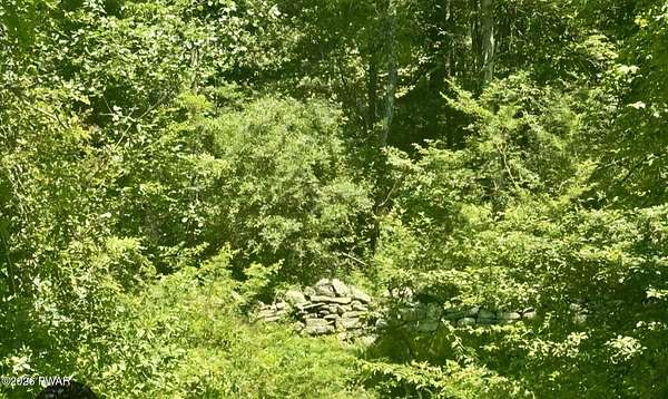 9.3 Acres of Residential Land for Sale in Hawley, Pennsylvania