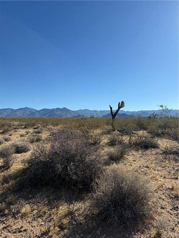 1.15 Acres of Residential Land for Sale in Yucca, Arizona