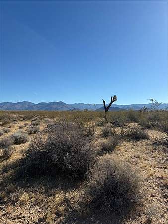 1.15 Acres of Residential Land for Sale in Yucca, Arizona