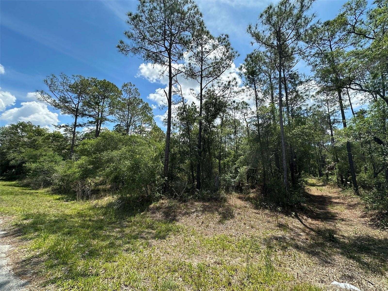 1.16 Acres of Residential Land for Sale in Crystal River, Florida