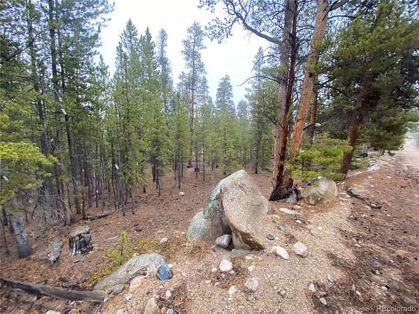 0.3 Acres of Residential Land for Sale in Twin Lakes, Colorado