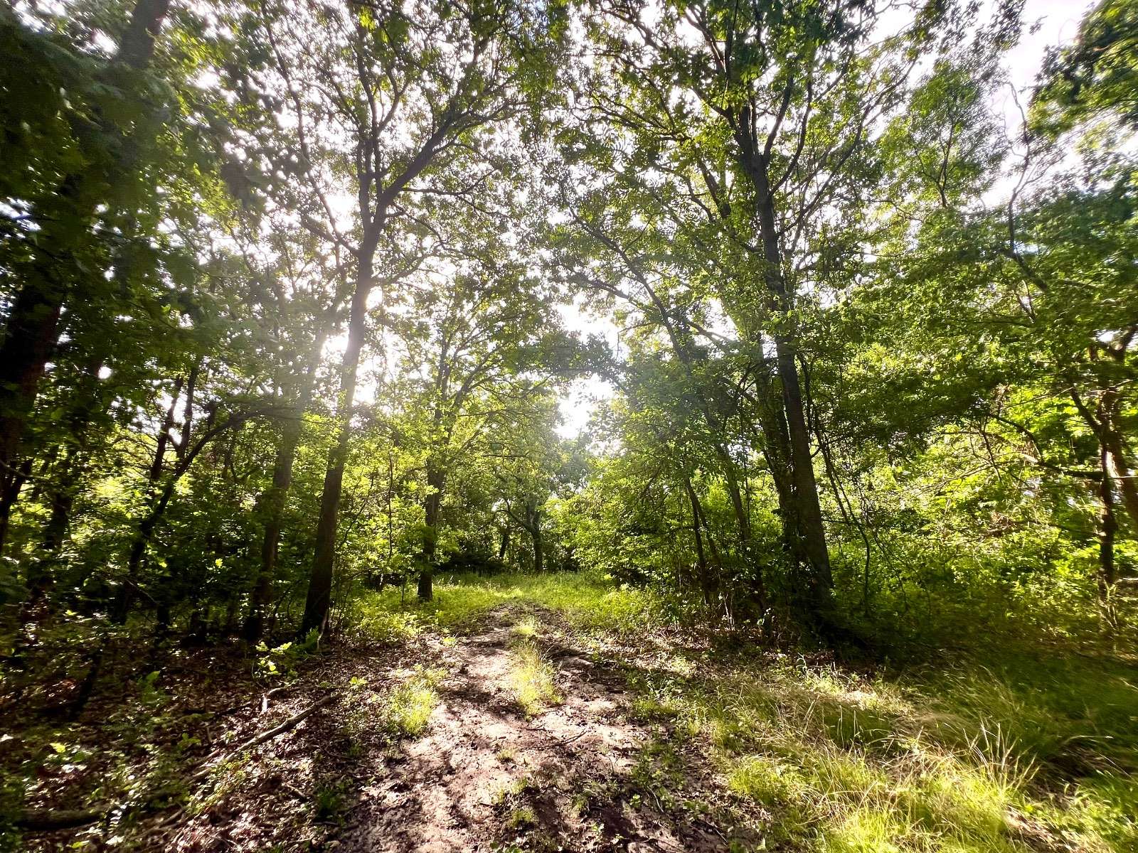 40 Acres of Land for Sale in Milburn, Oklahoma