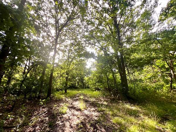 20 Acres of Land for Sale in Milburn, Oklahoma
