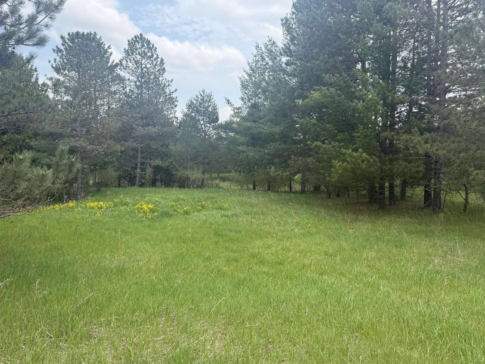 Residential Land for Sale in Gladwin, Michigan