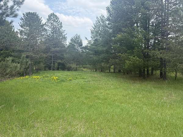 Residential Land for Sale in Gladwin, Michigan