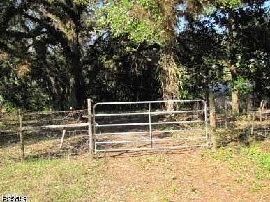 10.4 Acres of Land for Sale in Alva, Florida