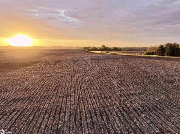 146 Acres of Agricultural Land for Sale in Yale, Iowa