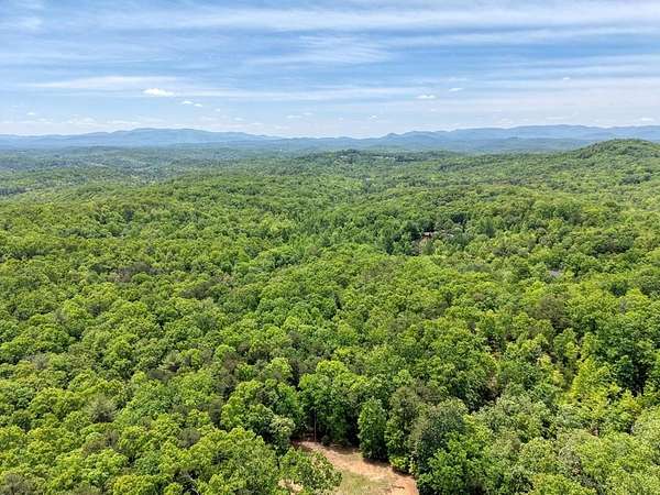 57.3 Acres of Recreational Land for Sale in Mineral Bluff, Georgia