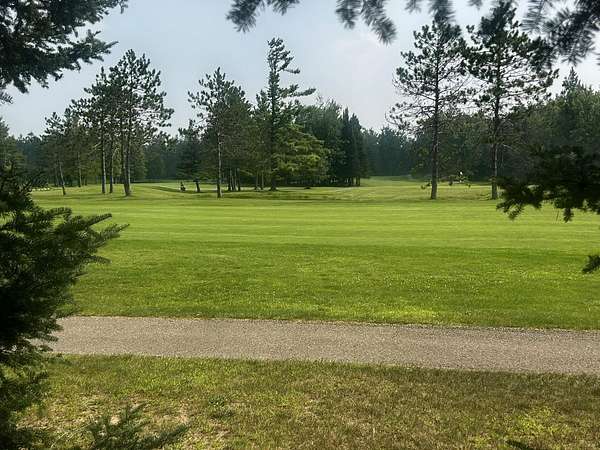Residential Land for Sale in Hillman, Michigan