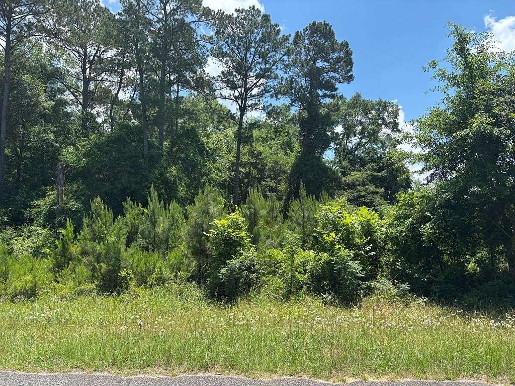 1.49 Acres of Residential Land for Sale in Georgetown, Georgia