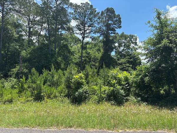 1.49 Acres of Residential Land for Sale in Georgetown, Georgia