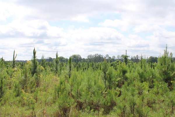 1.49 Acres of Residential Land for Sale in Georgetown, Georgia