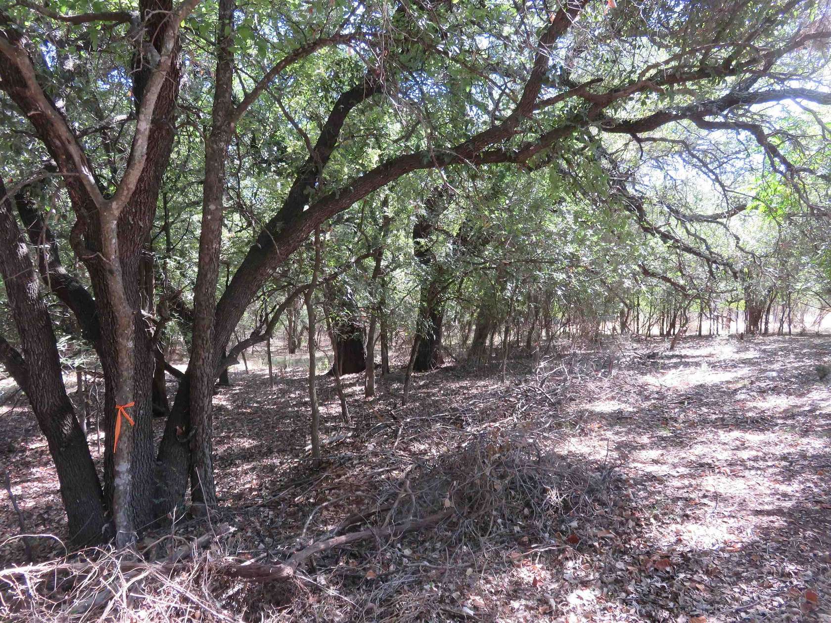 0.2 Acres of Land for Sale in Sunrise Beach Village, Texas