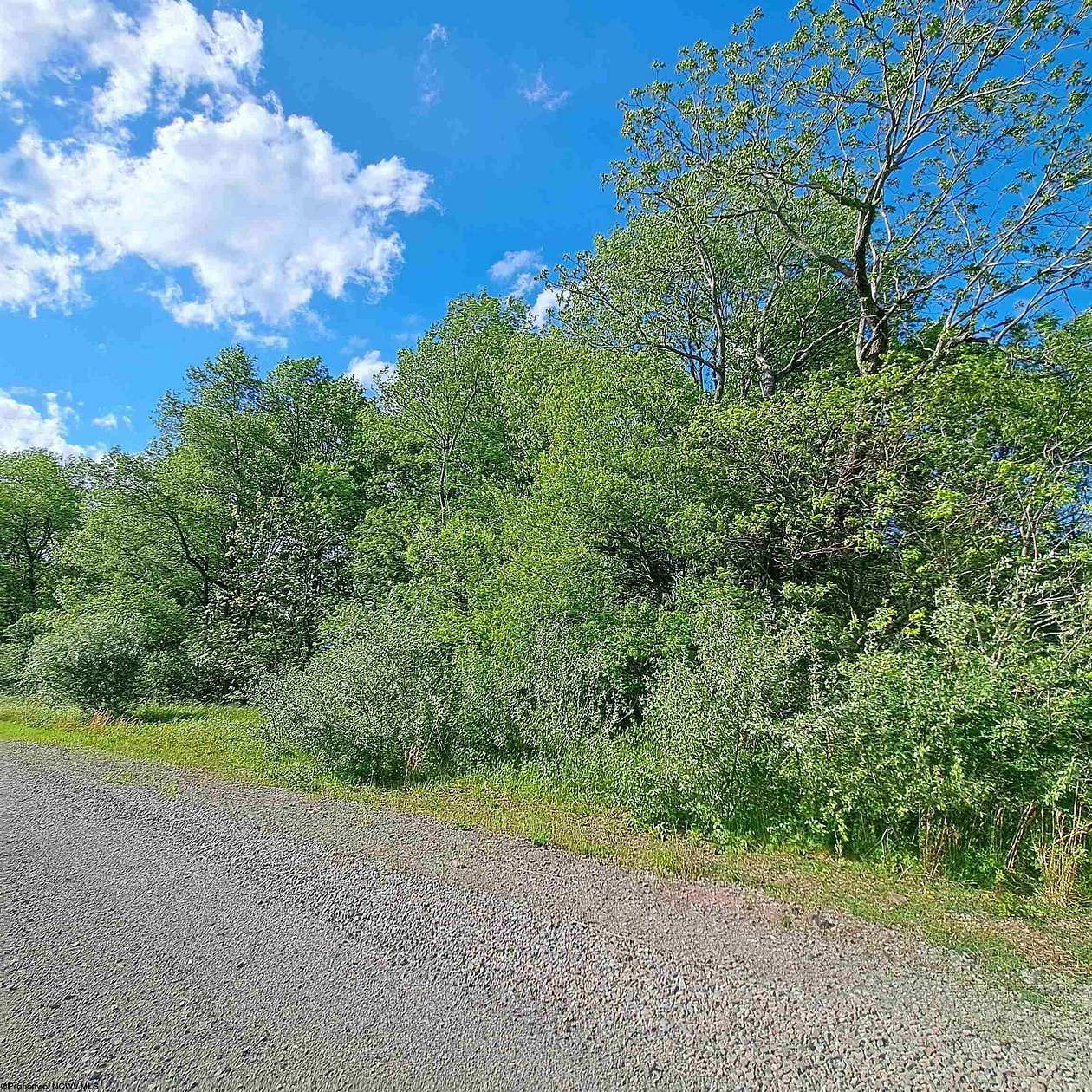 6 Acres of Residential Land for Sale in Albright, West Virginia