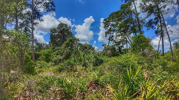 0.17 Acres of Residential Land for Sale in New Port Richey, Florida
