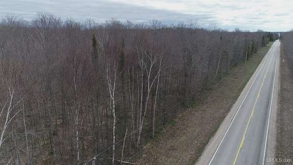 10 Acres of Recreational & Residential Land for Sale in Gulliver, Michigan