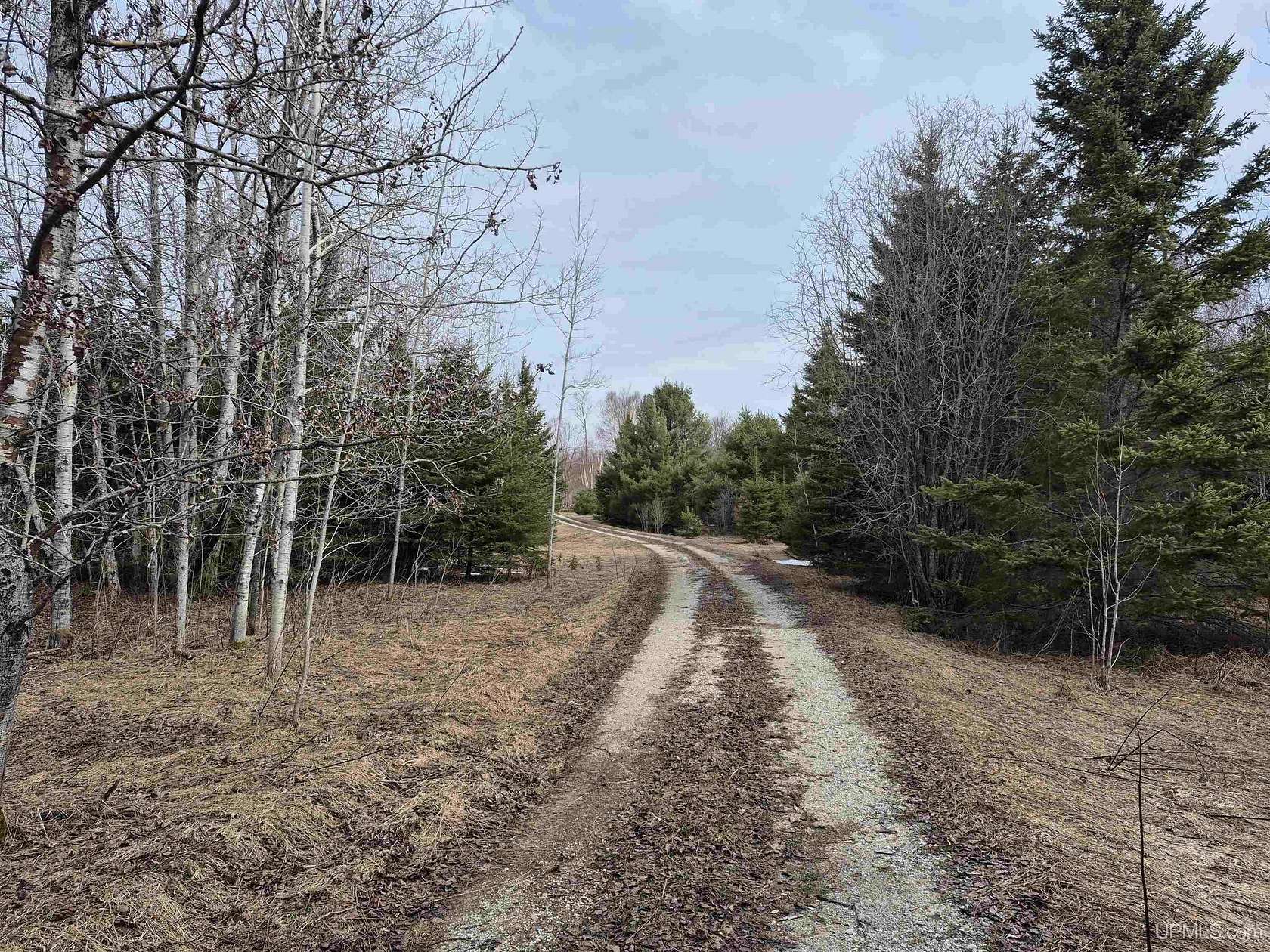 40 Acres of Recreational & Residential Land for Sale in Gulliver, Michigan