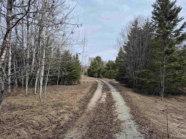 40 Acres of Recreational & Residential Land for Sale in Gulliver, Michigan
