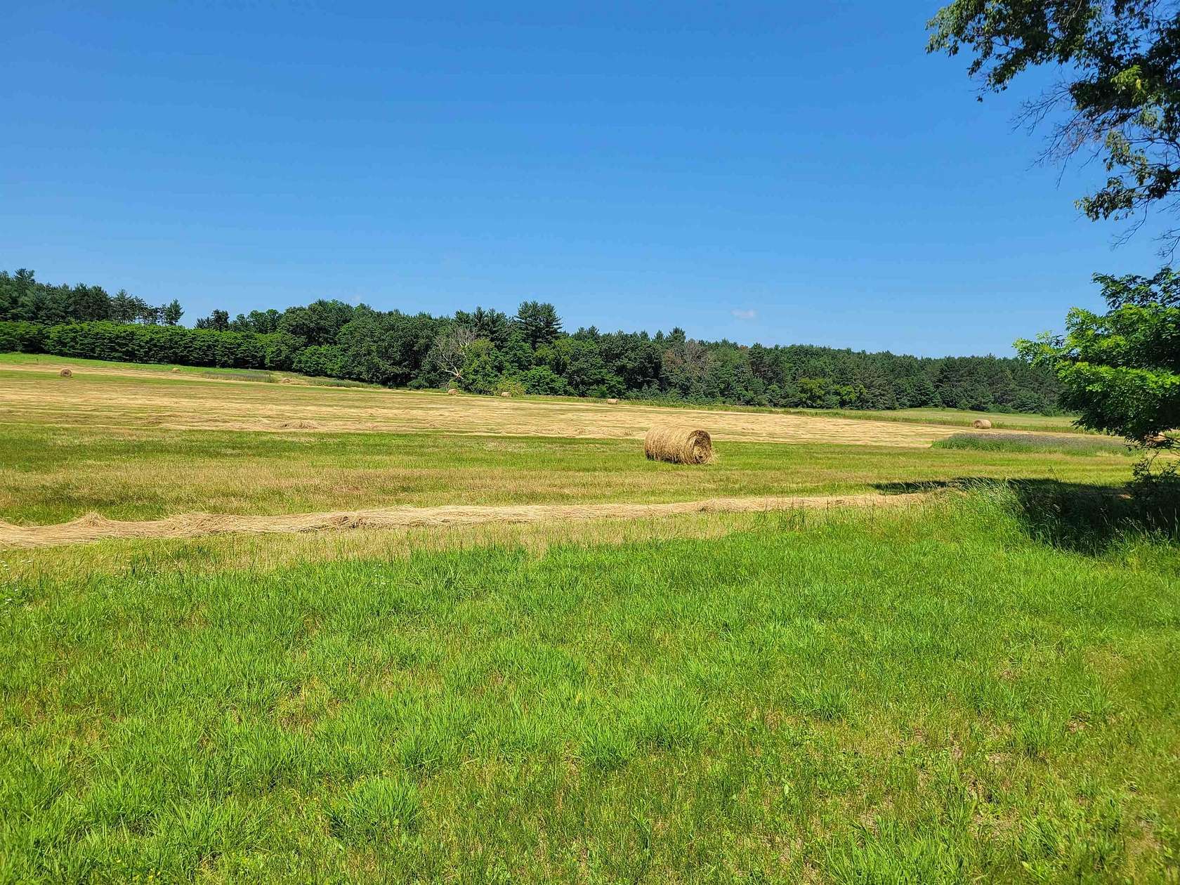 82.6 Acres of Land for Sale in Waupaca, Wisconsin