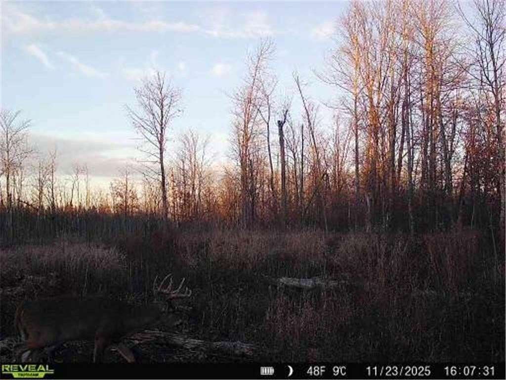 280 Acres of Recreational & Residential Land for Sale in Danforth Township, Minnesota