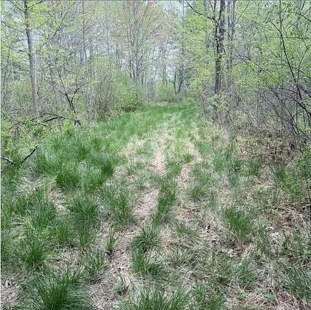 22.6 Acres of Recreational & Residential Land for Sale in Hampden, Maine
