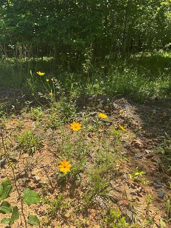 2.37 Acres of Residential Land for Sale in Watson, Oklahoma