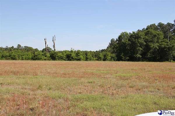 27 Acres of Agricultural & Residential Land for Sale in Hartsville, South Carolina