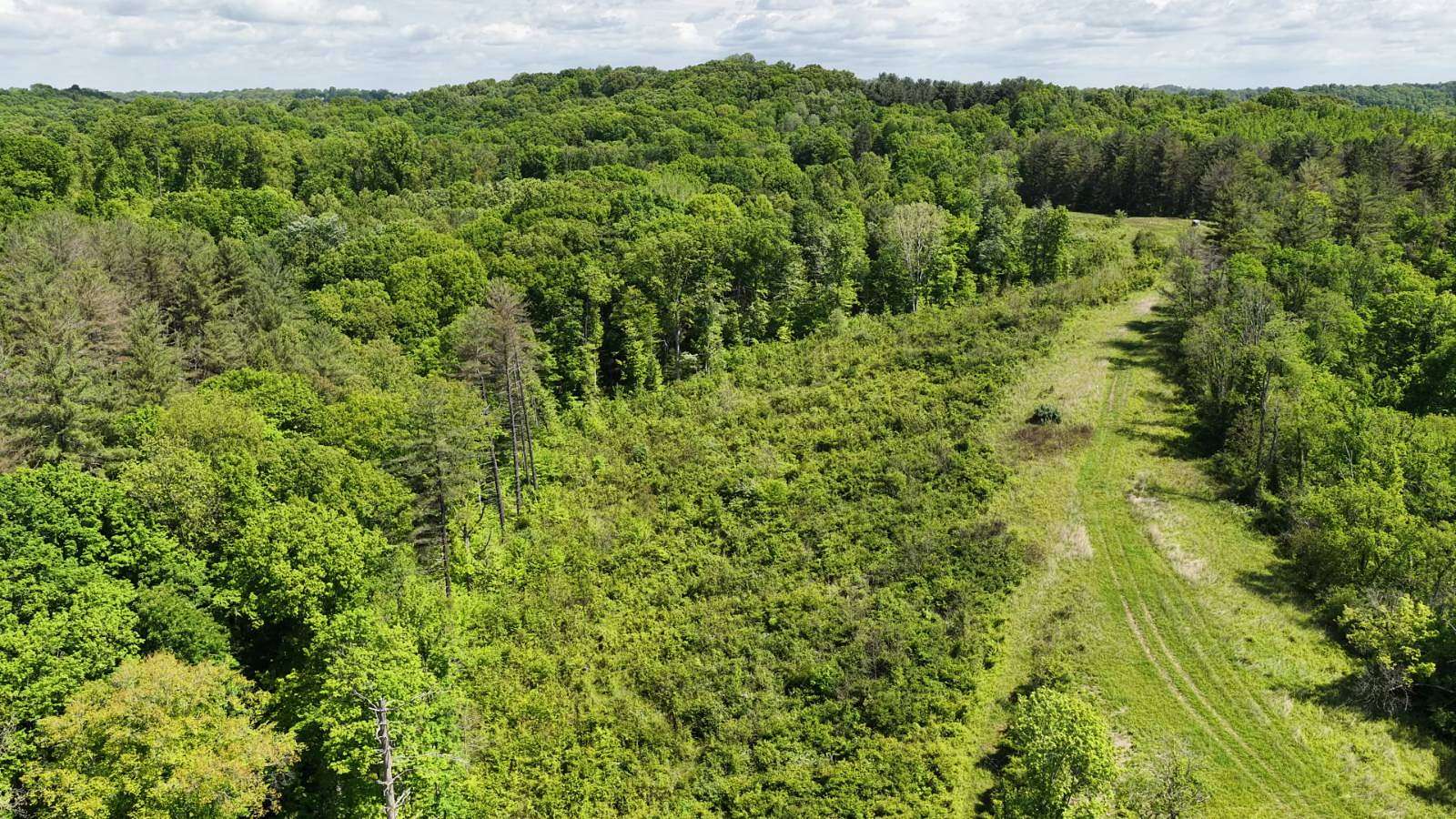 79 Acres of Recreational & Residential Land for Sale in Millfield, Ohio