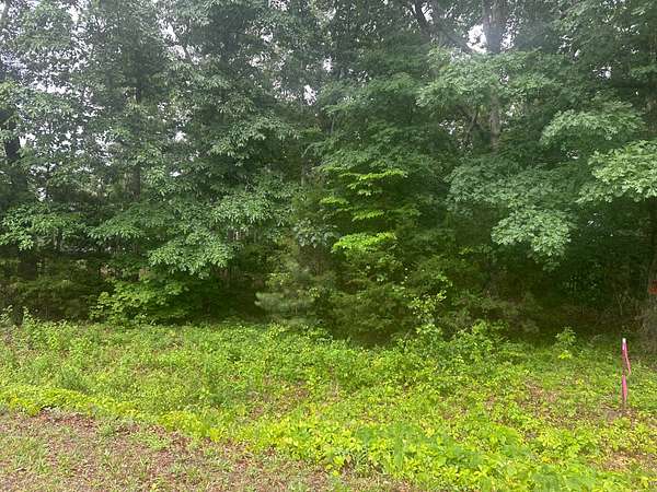 1.29 Acres of Residential Land for Sale in Dover, Tennessee