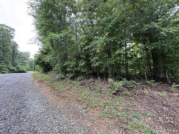22.6 Acres of Land for Sale in Dover, Tennessee