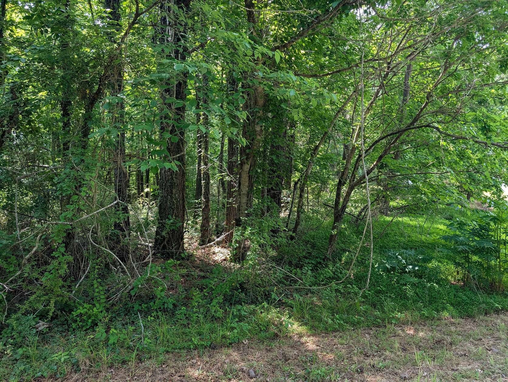 2 Acres of Residential Land for Sale in Tracy City, Tennessee