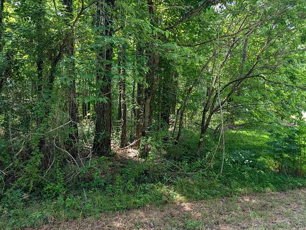 1 Acre of Residential Land for Sale in Tracy City, Tennessee