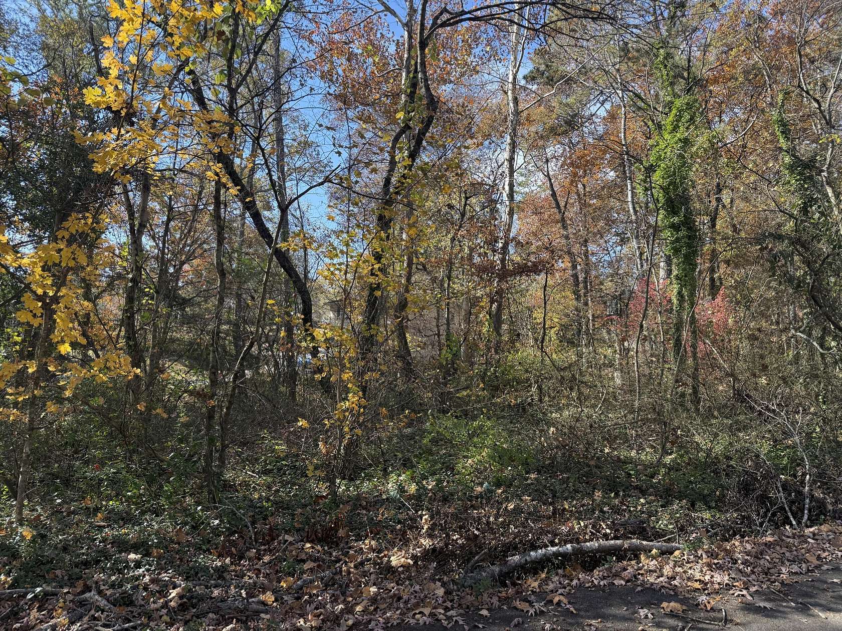 0.2 Acres of Residential Land for Sale in Cleveland, Tennessee