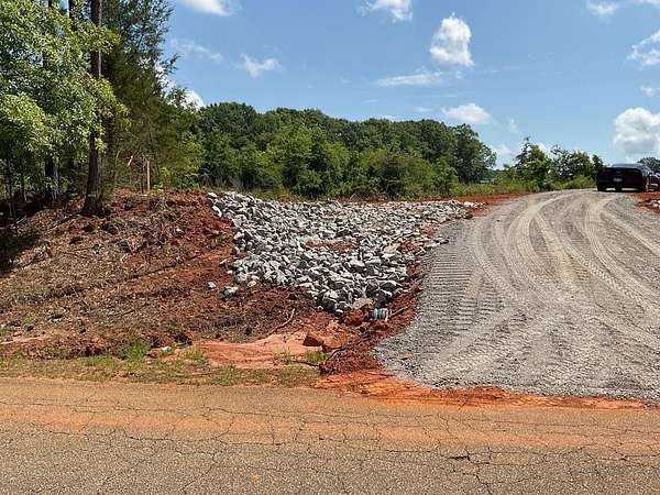 Land for Sale in Luverne, Alabama