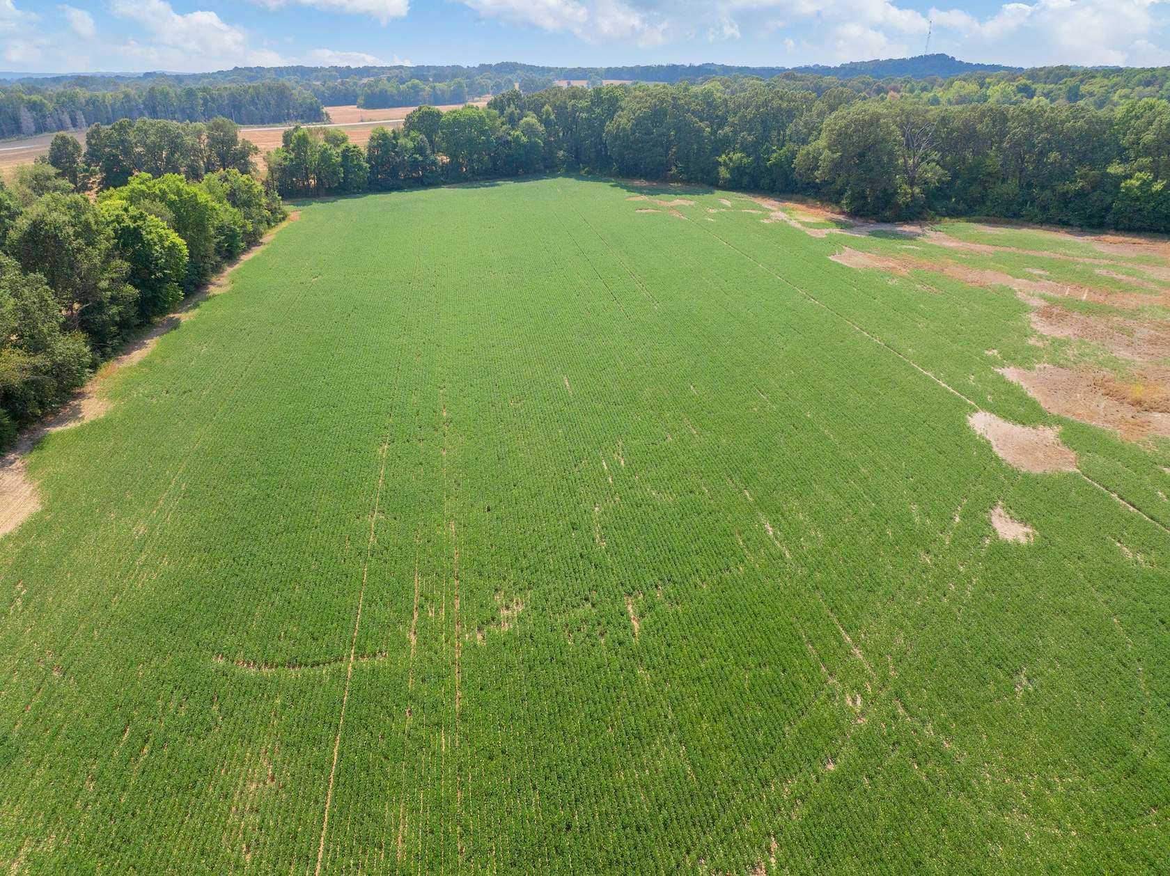 15.5 Acres of Land for Sale in Rock Island, Tennessee