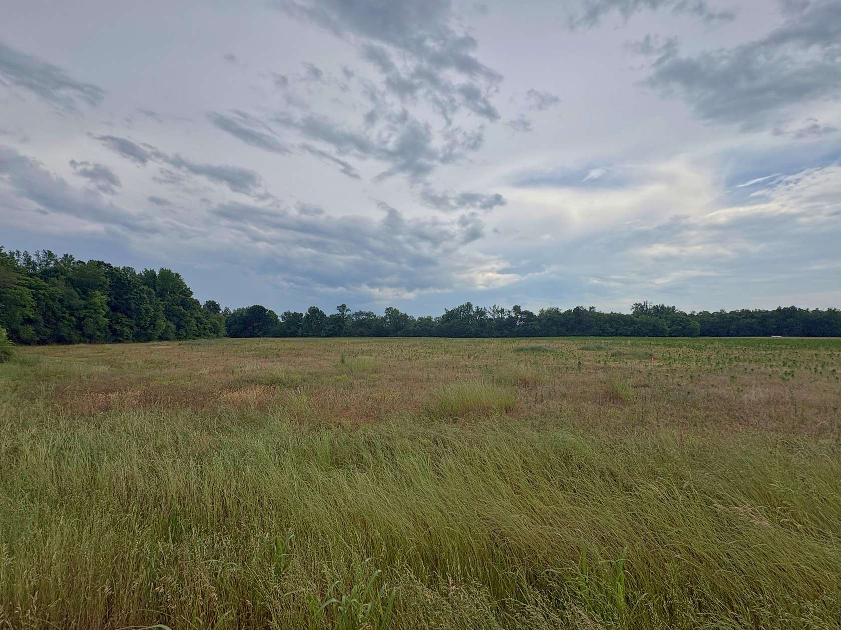9.1 Acres of Residential Land for Sale in Manchester, Tennessee