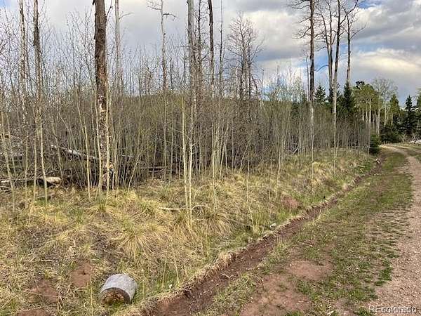 1.44 Acres of Residential Land for Sale in Fort Garland, Colorado