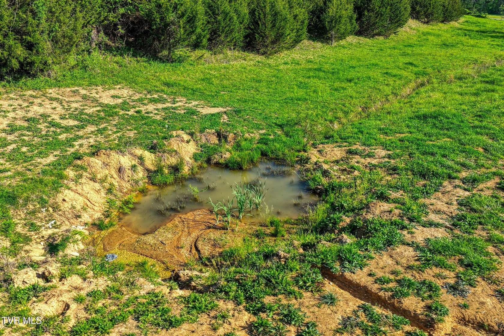 32 Acres of Recreational & Residential Land for Sale in Rogersville, Tennessee