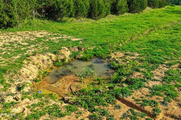 32 Acres of Recreational & Residential Land for Sale in Rogersville, Tennessee