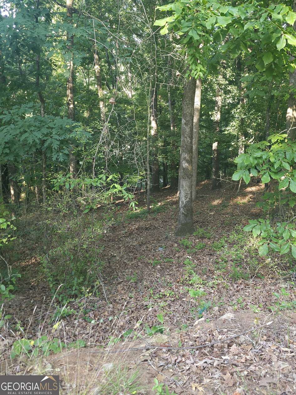 0.35 Acres of Residential Land for Sale in Athens, Georgia