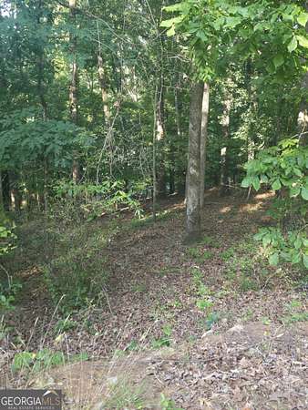 0.35 Acres of Residential Land for Sale in Athens, Georgia