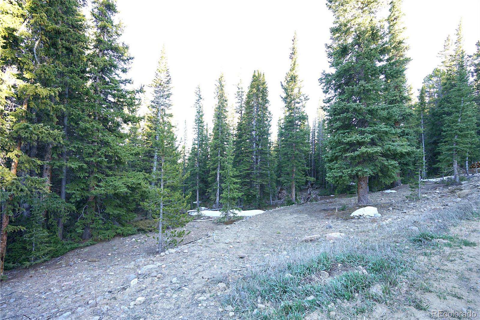 1 Acre of Residential Land for Sale in Fairplay, Colorado