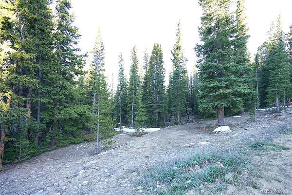 1 Acre of Residential Land for Sale in Fairplay, Colorado