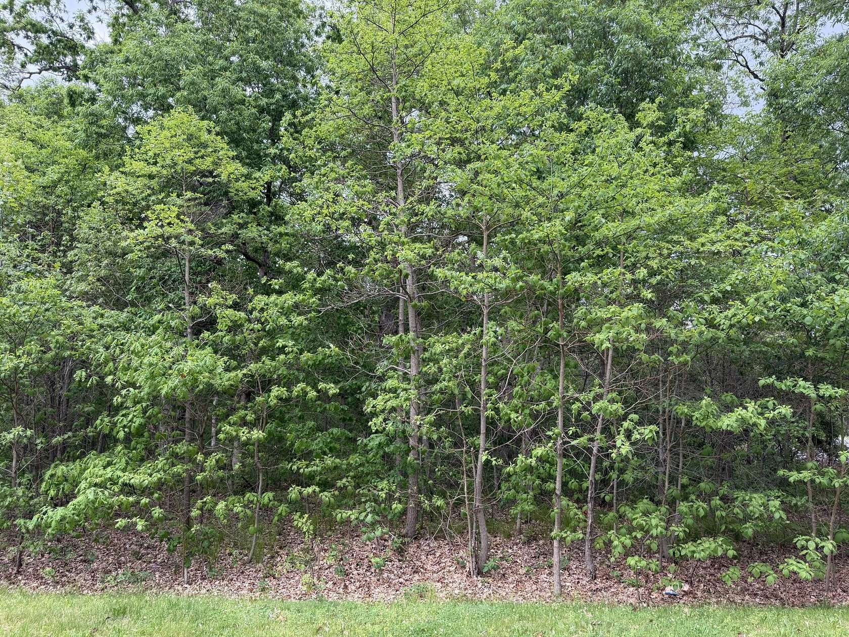 1 Acre of Residential Land for Sale in De Motte, Indiana