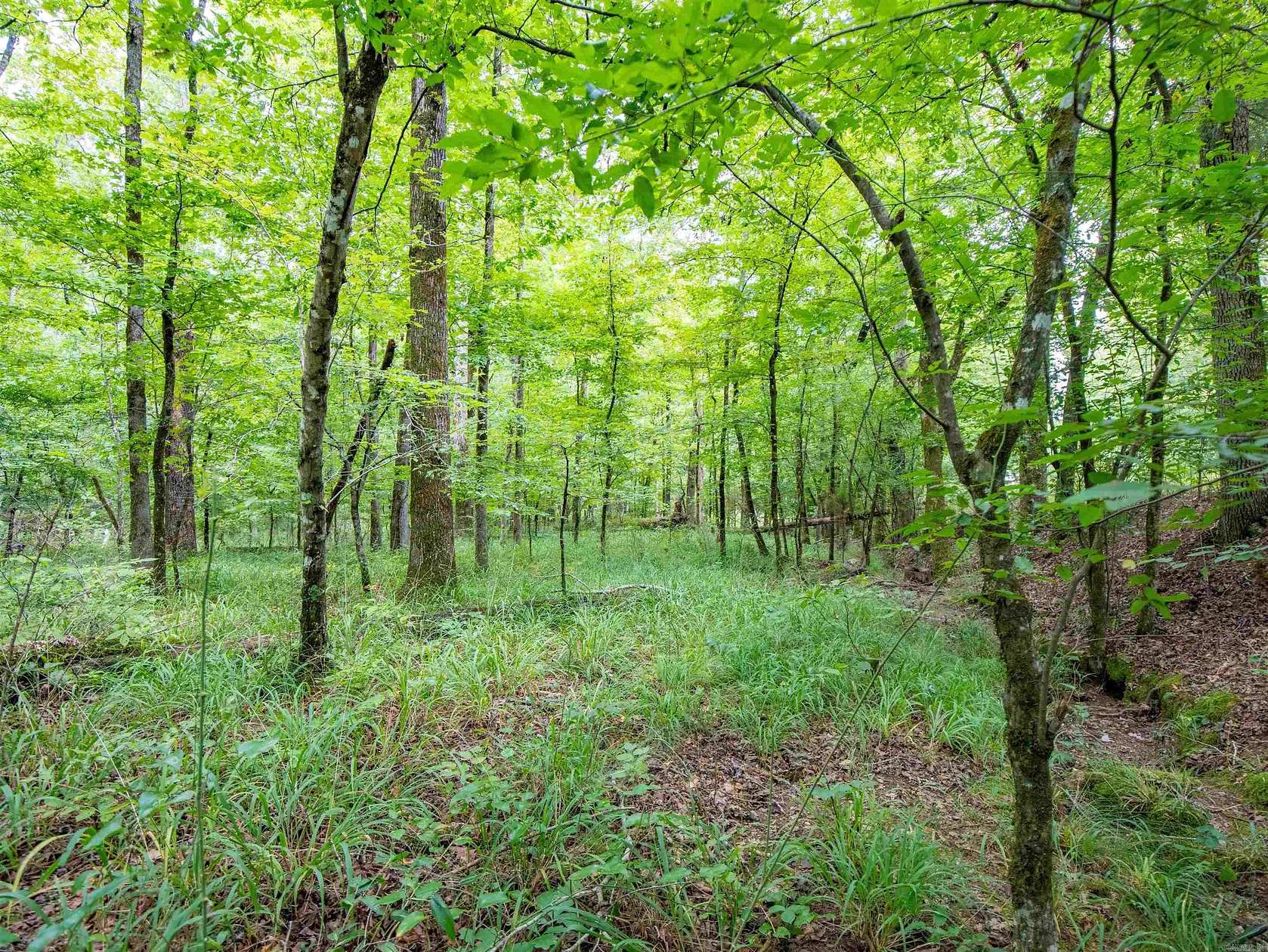 4.43 Acres of Residential Land for Sale in Hot Springs Village, Arkansas