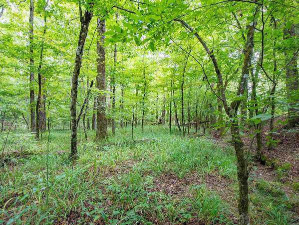 4.43 Acres of Residential Land for Sale in Hot Springs Village, Arkansas