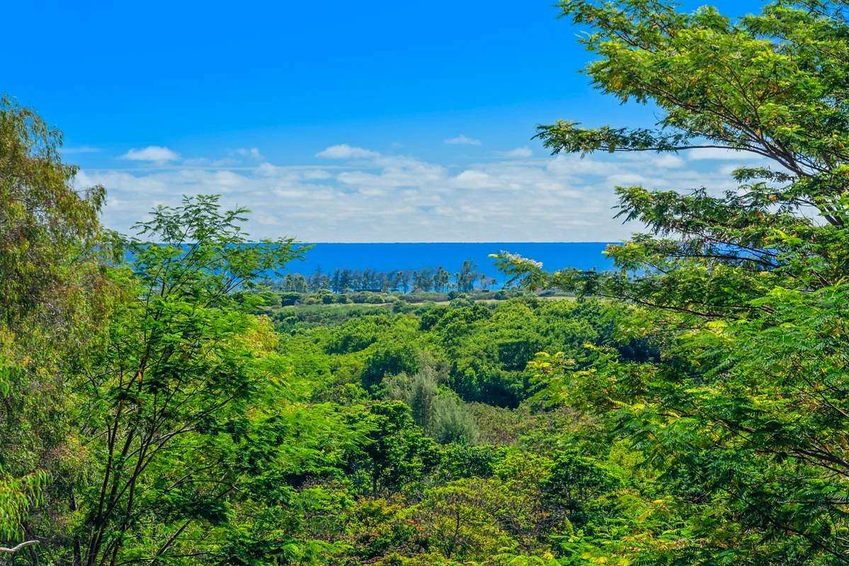 2 Acres of Residential Land for Sale in Kapaa, Hawaii